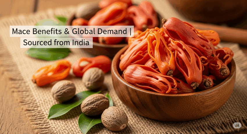 Top Benefits of Mace (Javitri)