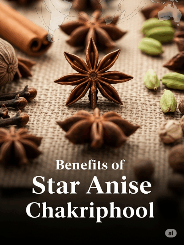 Benefits of Star Anise