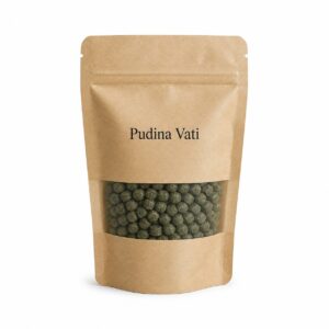 Pudina Vati 100 g Pack product pouch