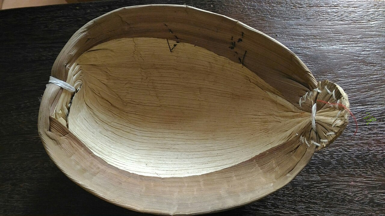 Areca Palm Leaf Square Plates (10x10 Inch Modern)
