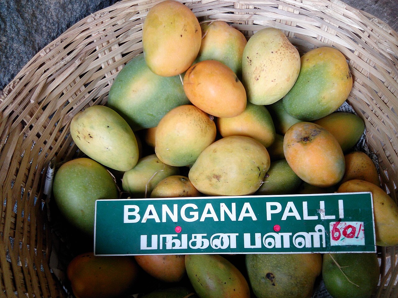 Banganapalli Mango (Benishan)