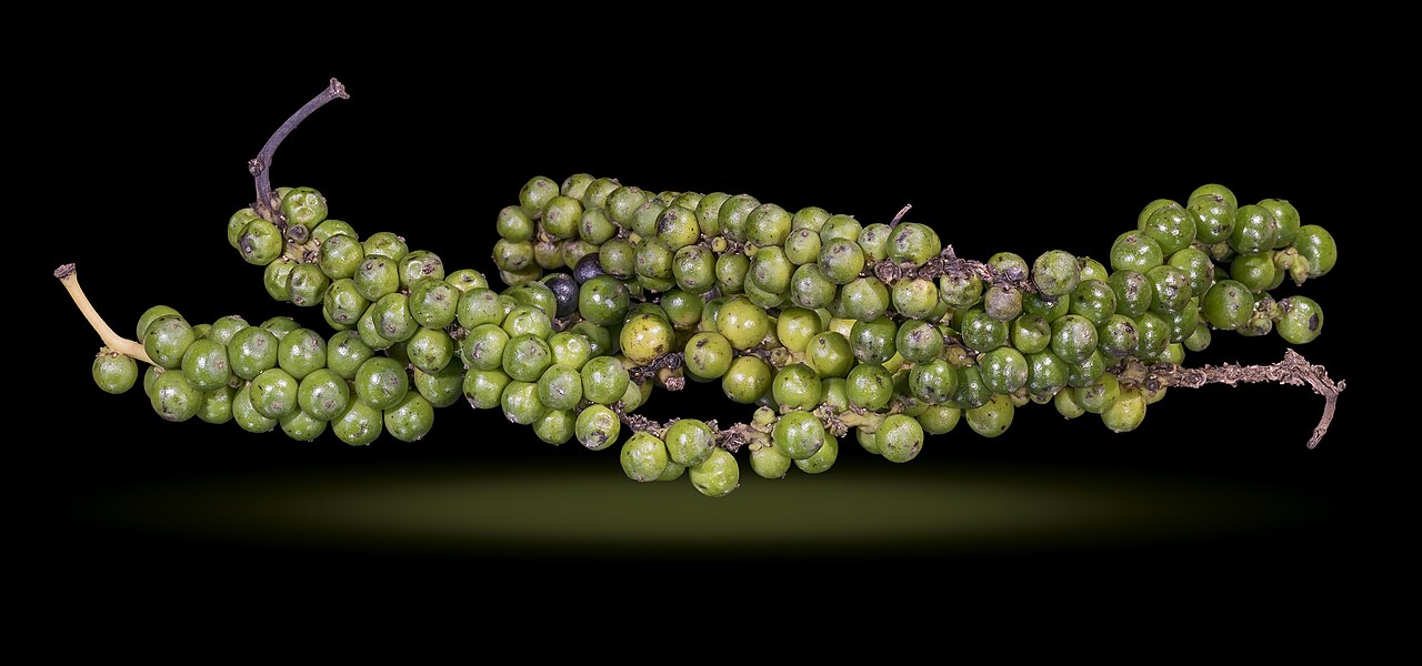 Black Pepper Pinheads (High Oleoresin Small)