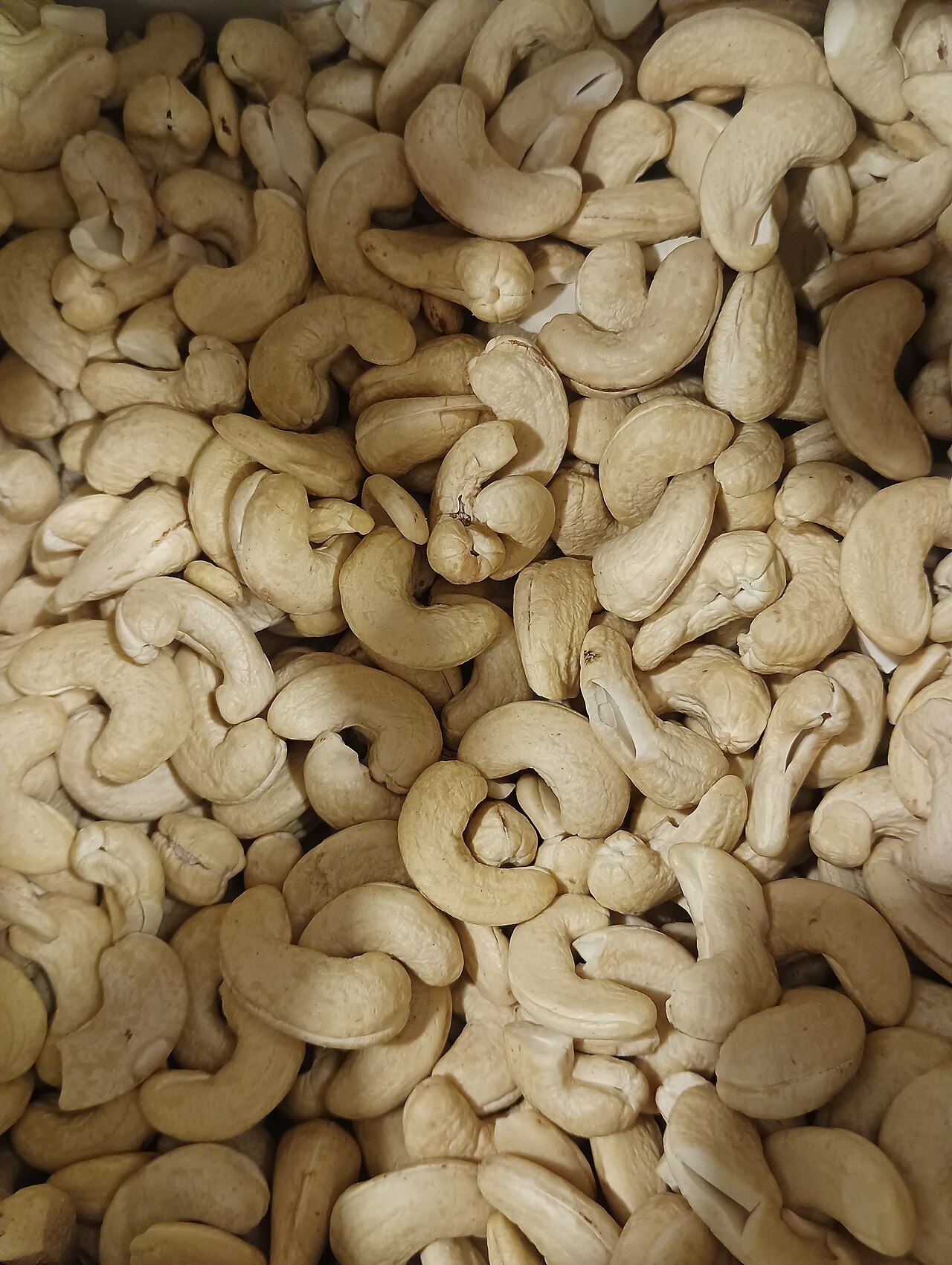 Cashew Nuts W210 (Jumbo White Wholes)