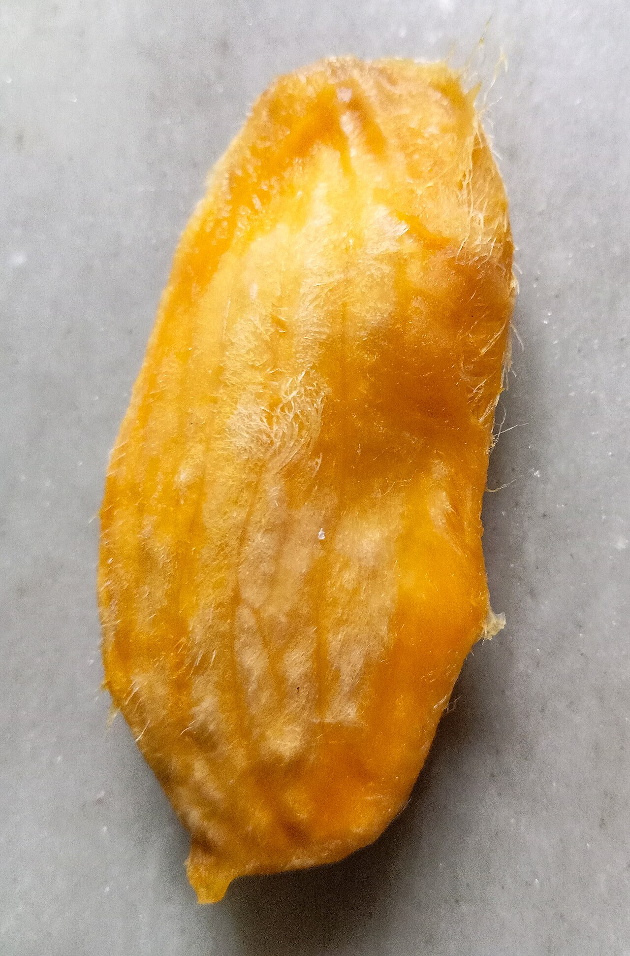 Chausa Mango (Export Grade)