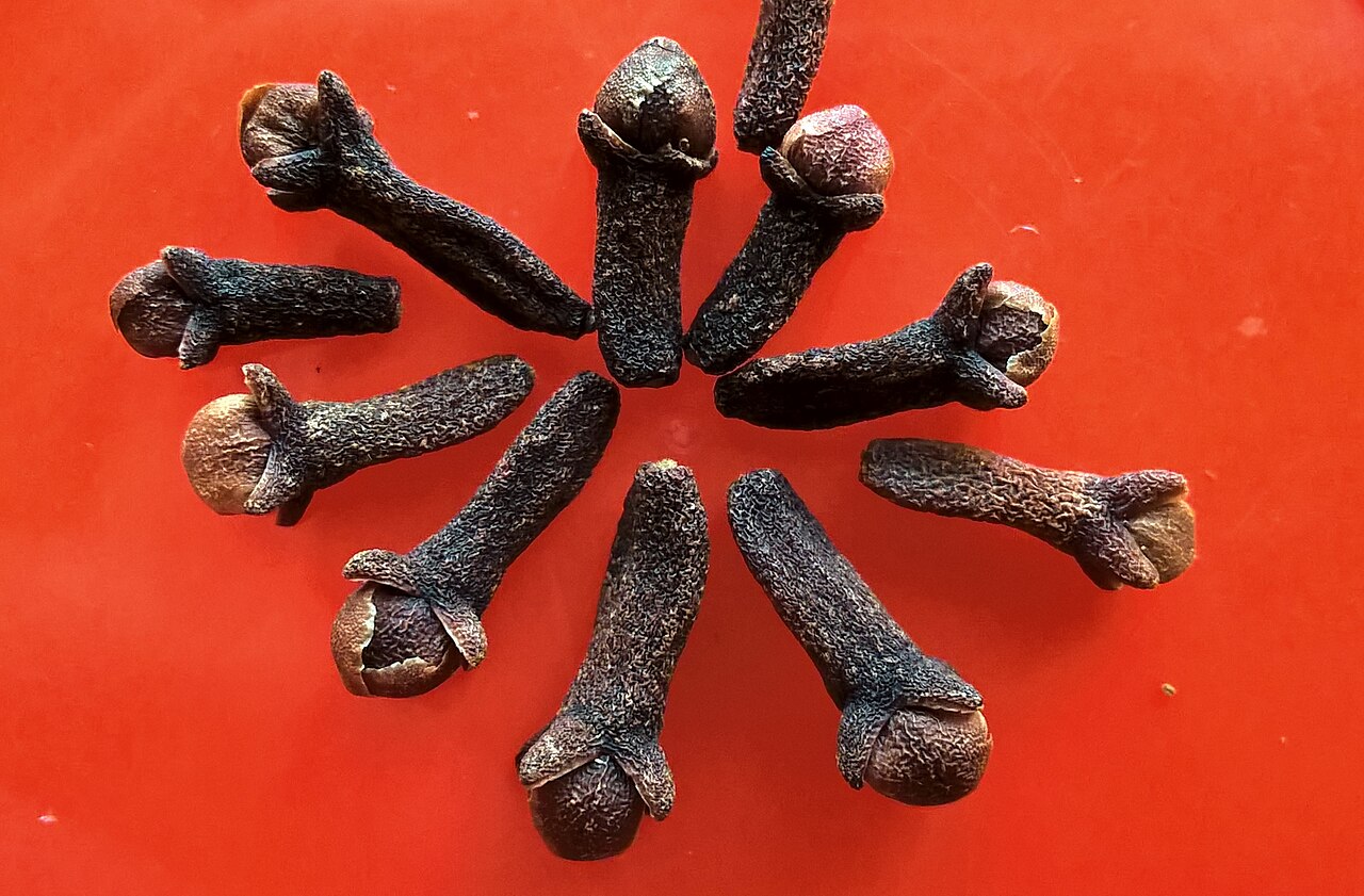 Clove Bud Essential Oil (85% Eugenol Pure)