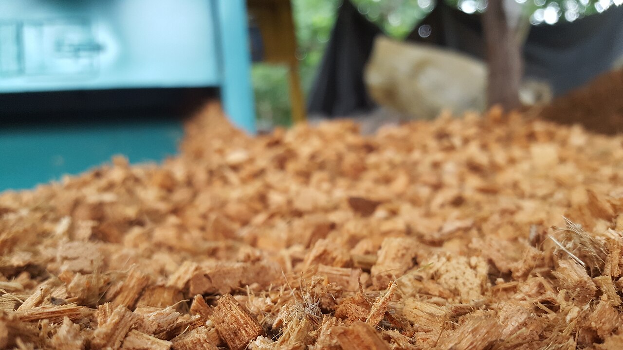 Coco Husk Chips 5kg Blocks (Orchid & Hydroponic Grade)