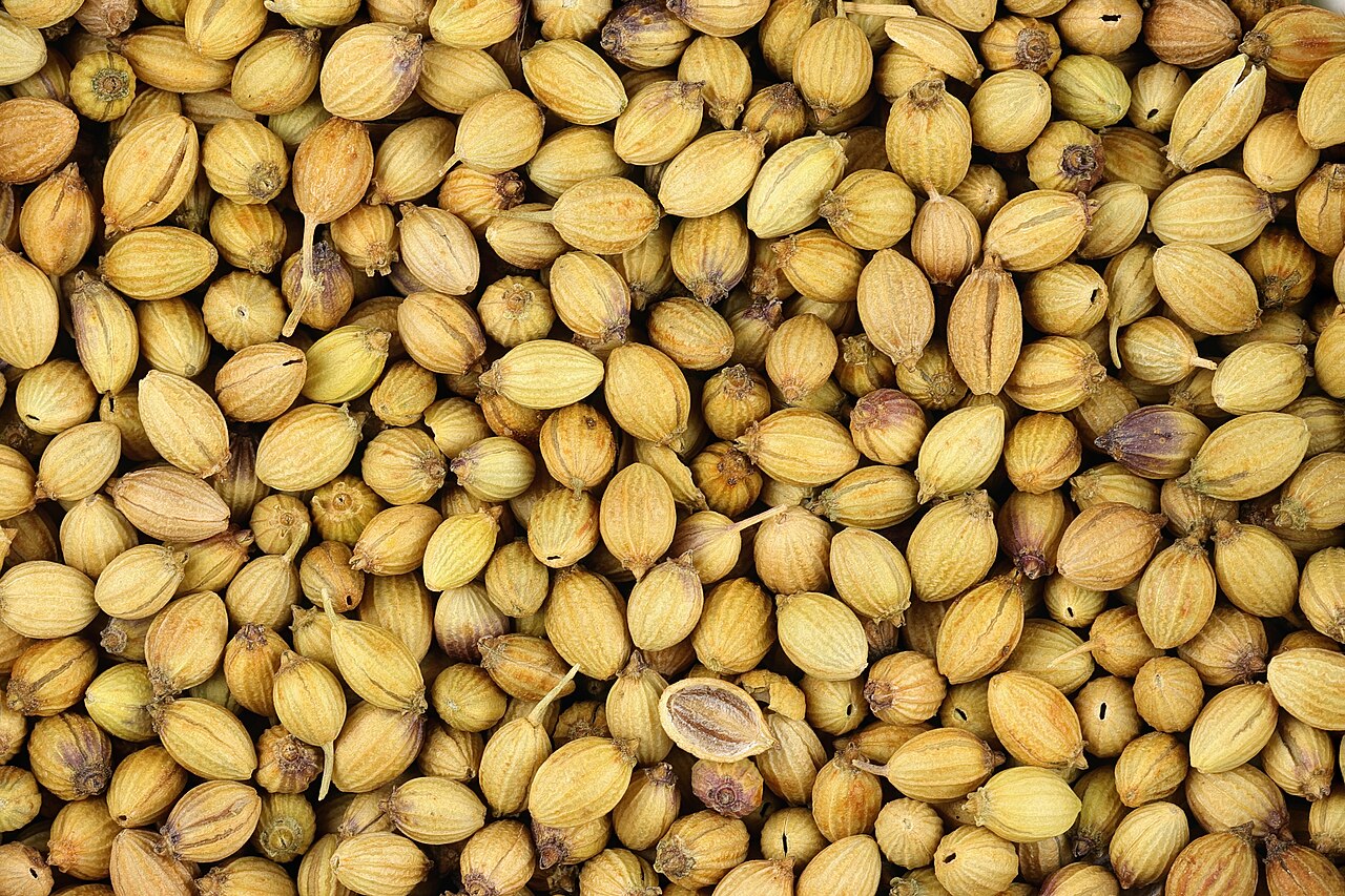 Coriander Seeds (Eagle Quality Machine Cleaned)