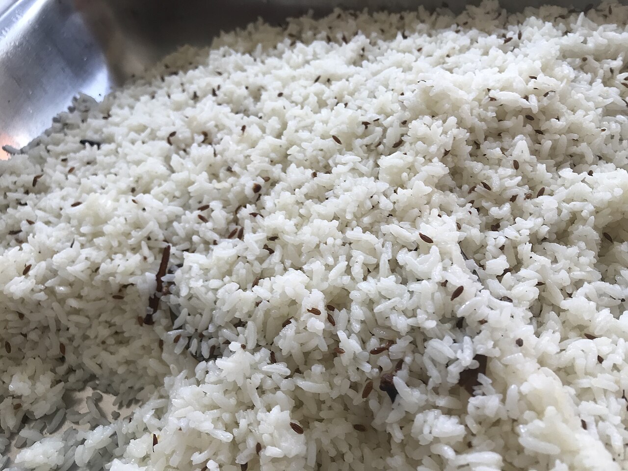 Cumin Seeds / Jeera (Machine Cleaned 99.5% Purity)