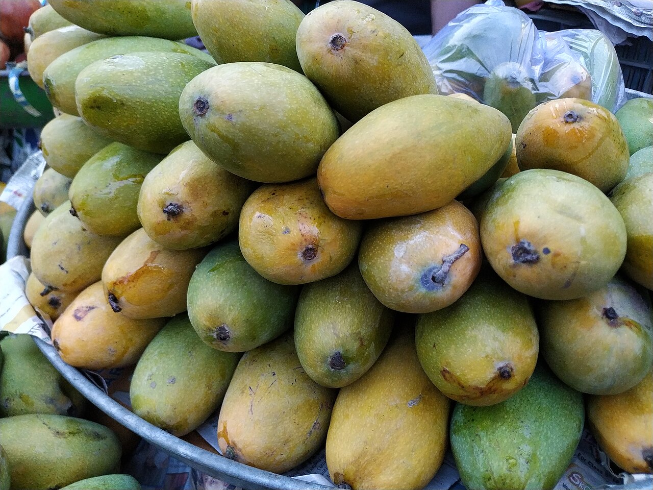 Dasheri Mango (Malihabad GI)