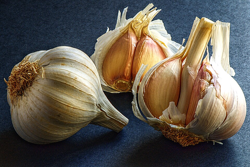 Dehydrated Garlic Chopped (3mm-5mm)
