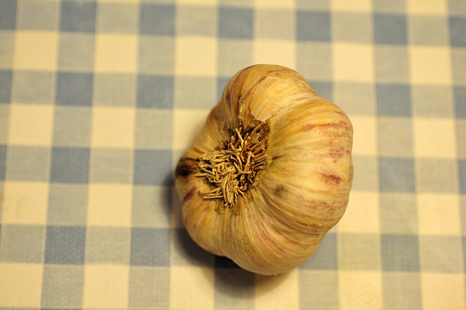Dehydrated Garlic Powder (100 Mesh Free Flowing)