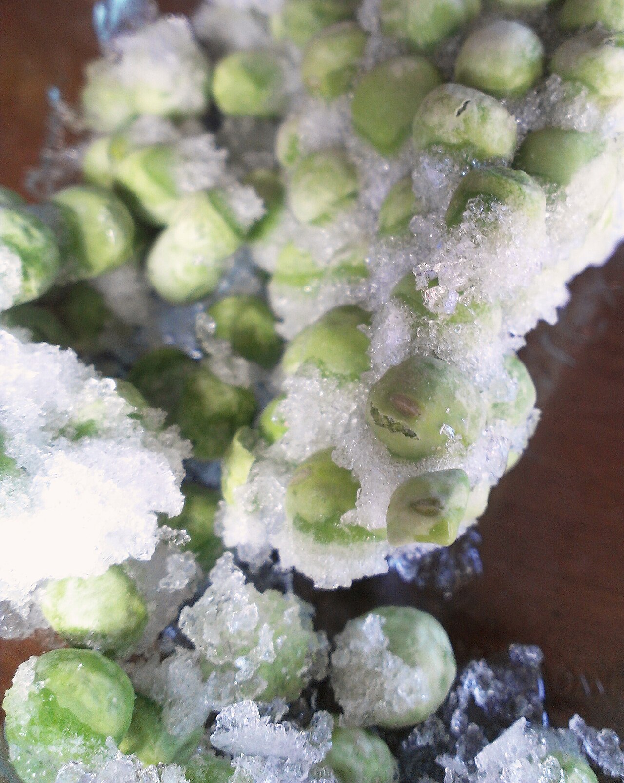 Dehydrated Green Chilli Powder (Pure Green)