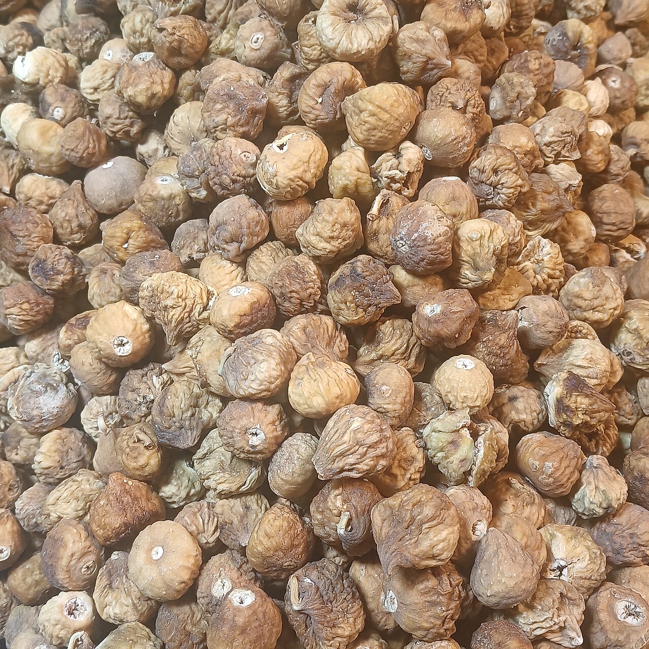 Dried Fig Dices (Bakery Cut 5x5mm)