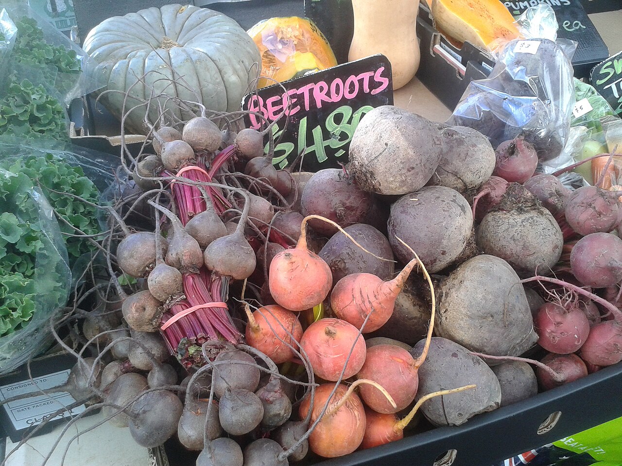 Fresh Beetroot Detroit Dark Red