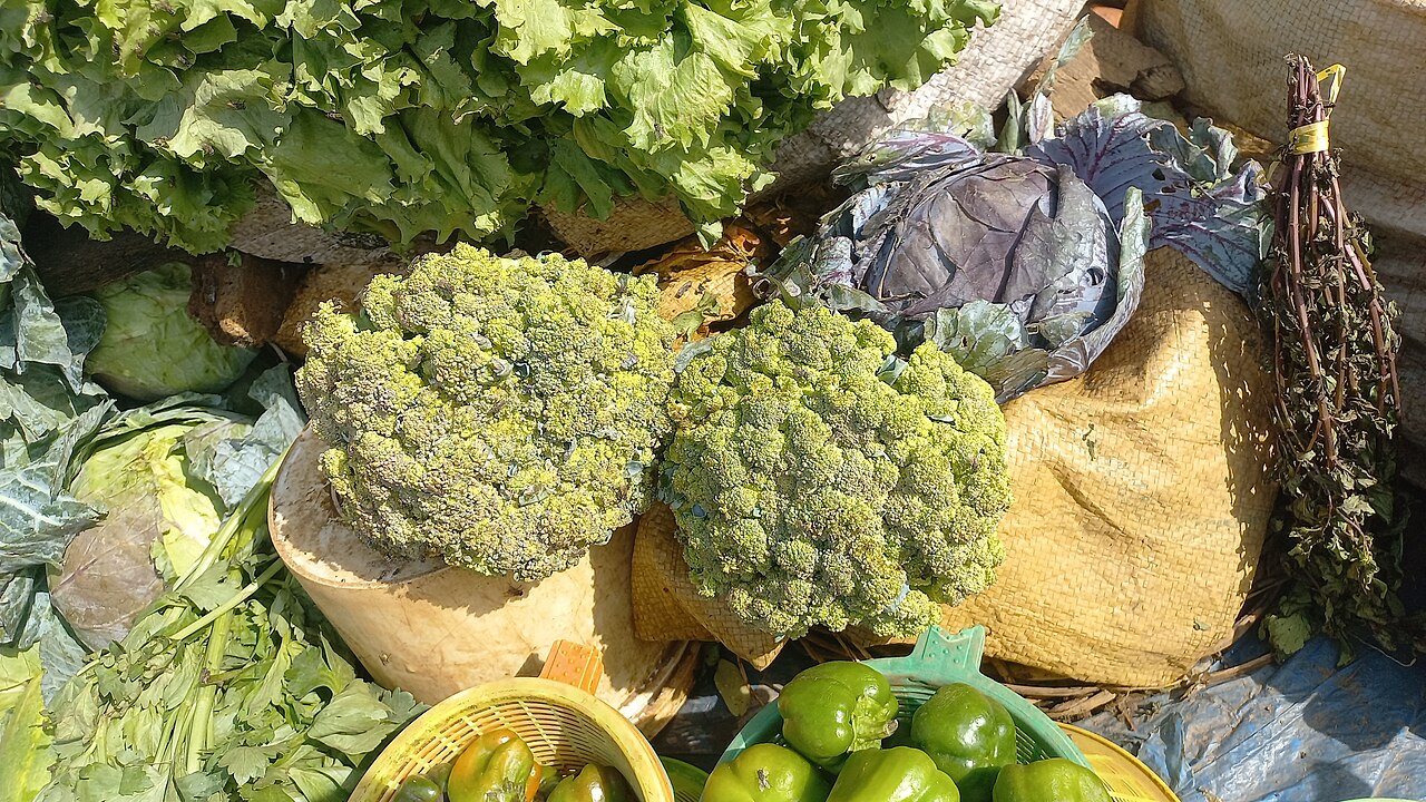 Fresh Broccoli (Dark Green Compact Heads)