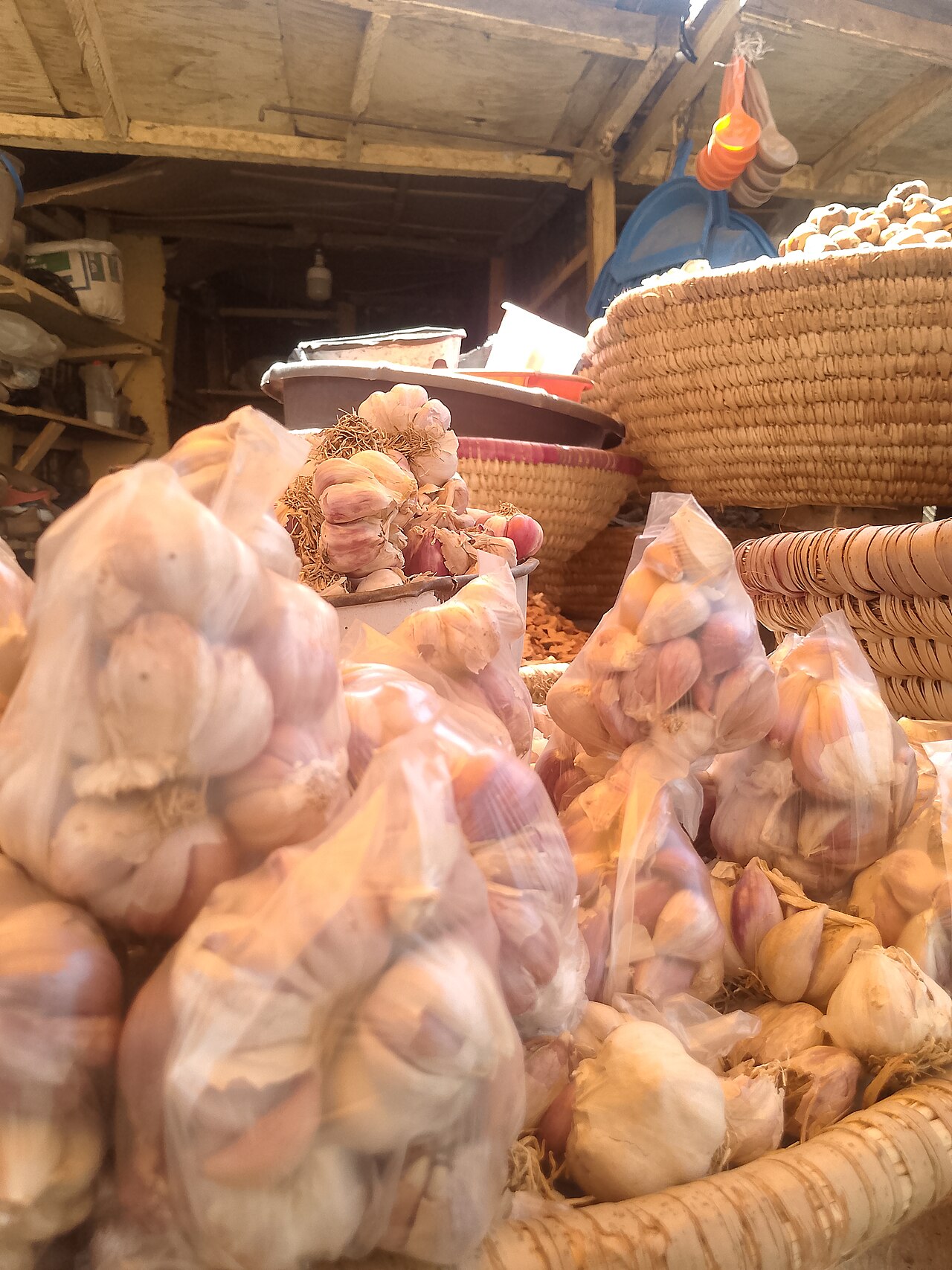 Fresh Garlic Mandsaur White Bold