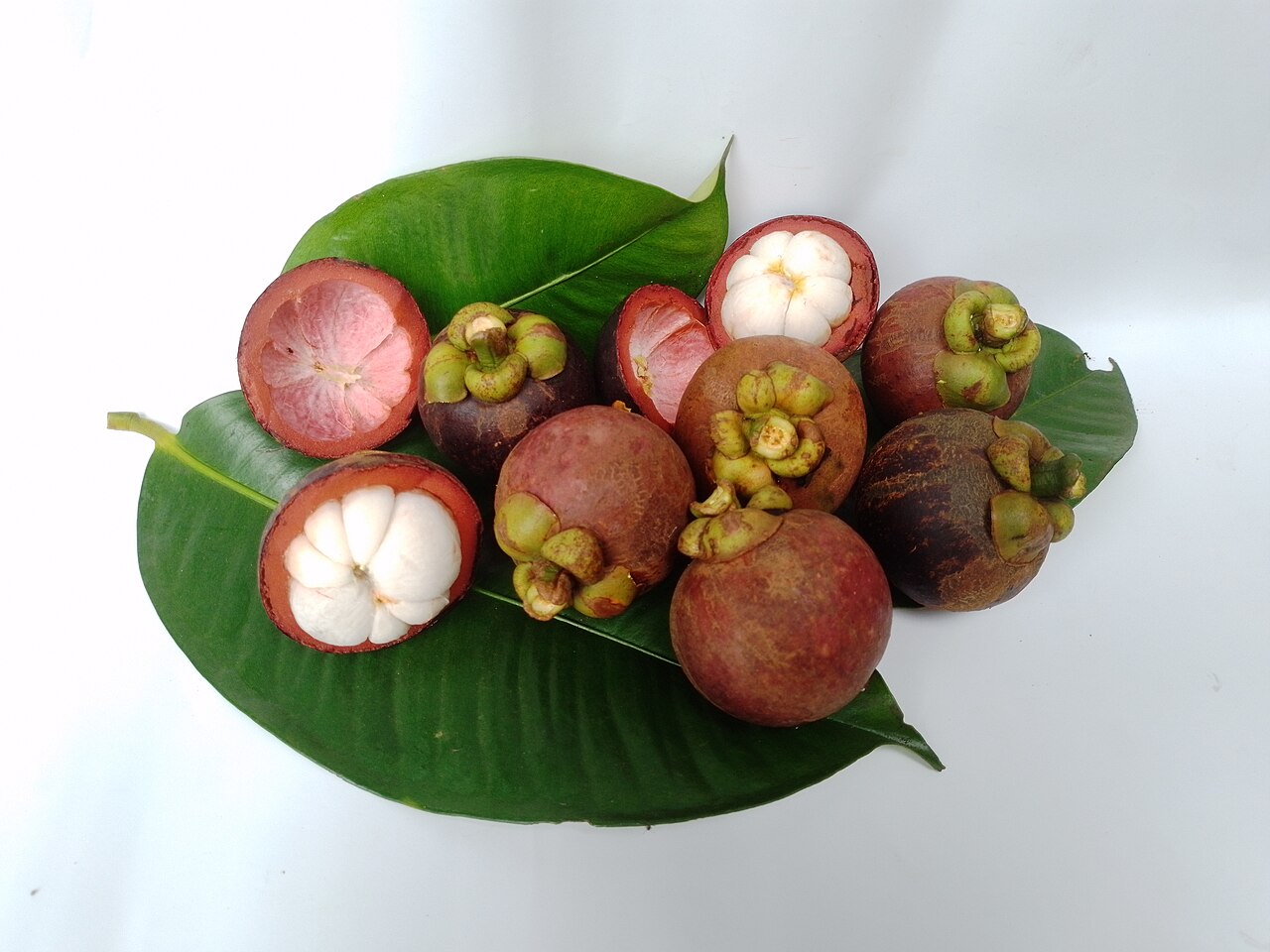 Fresh Mangosteen (Purple Queen)