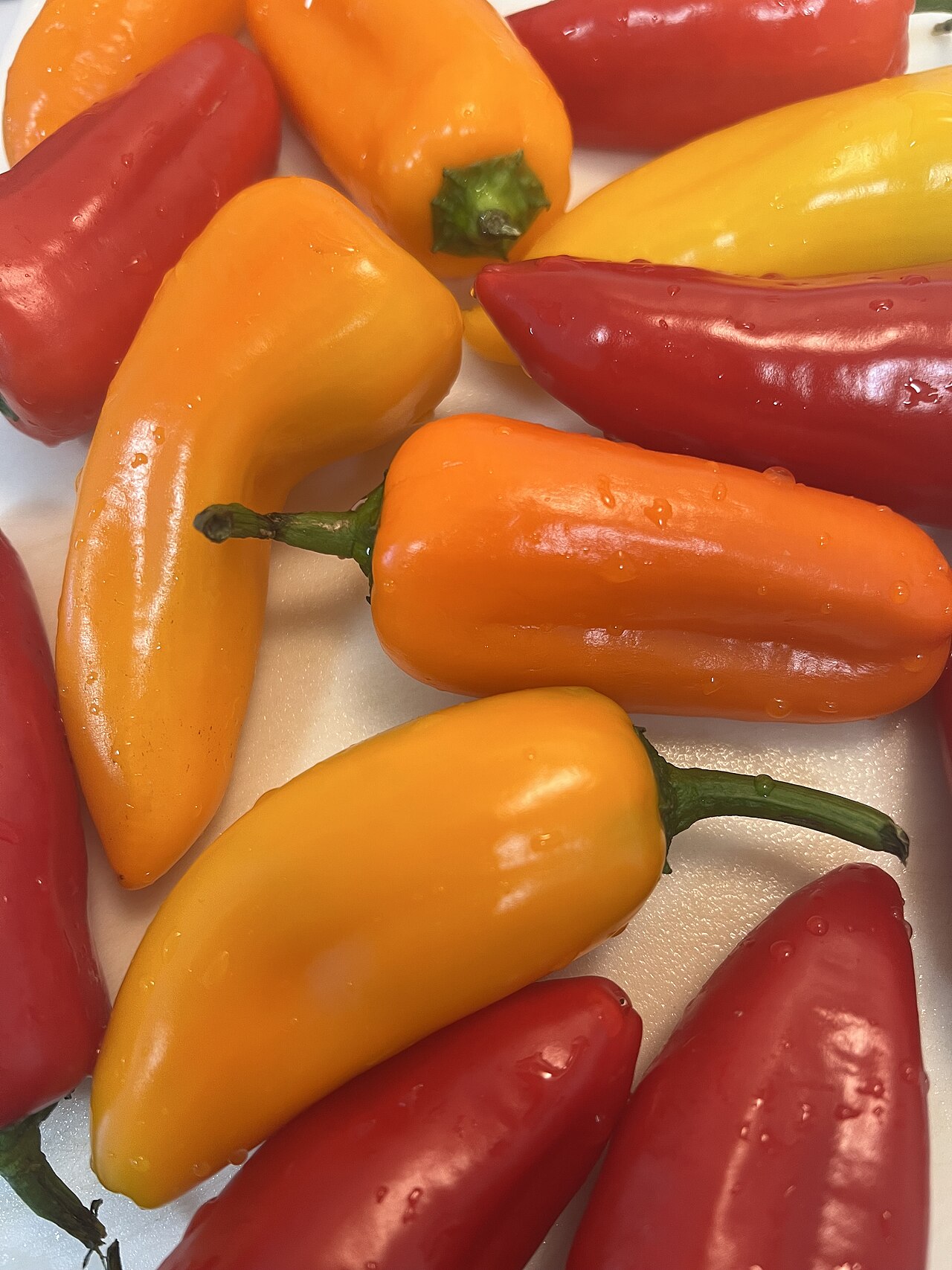 Fresh Mini Sweet Peppers (Tricolor Pack)
