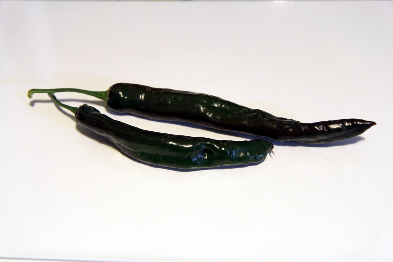 Fresh Padron Peppers (Spanish Tapas Grade)
