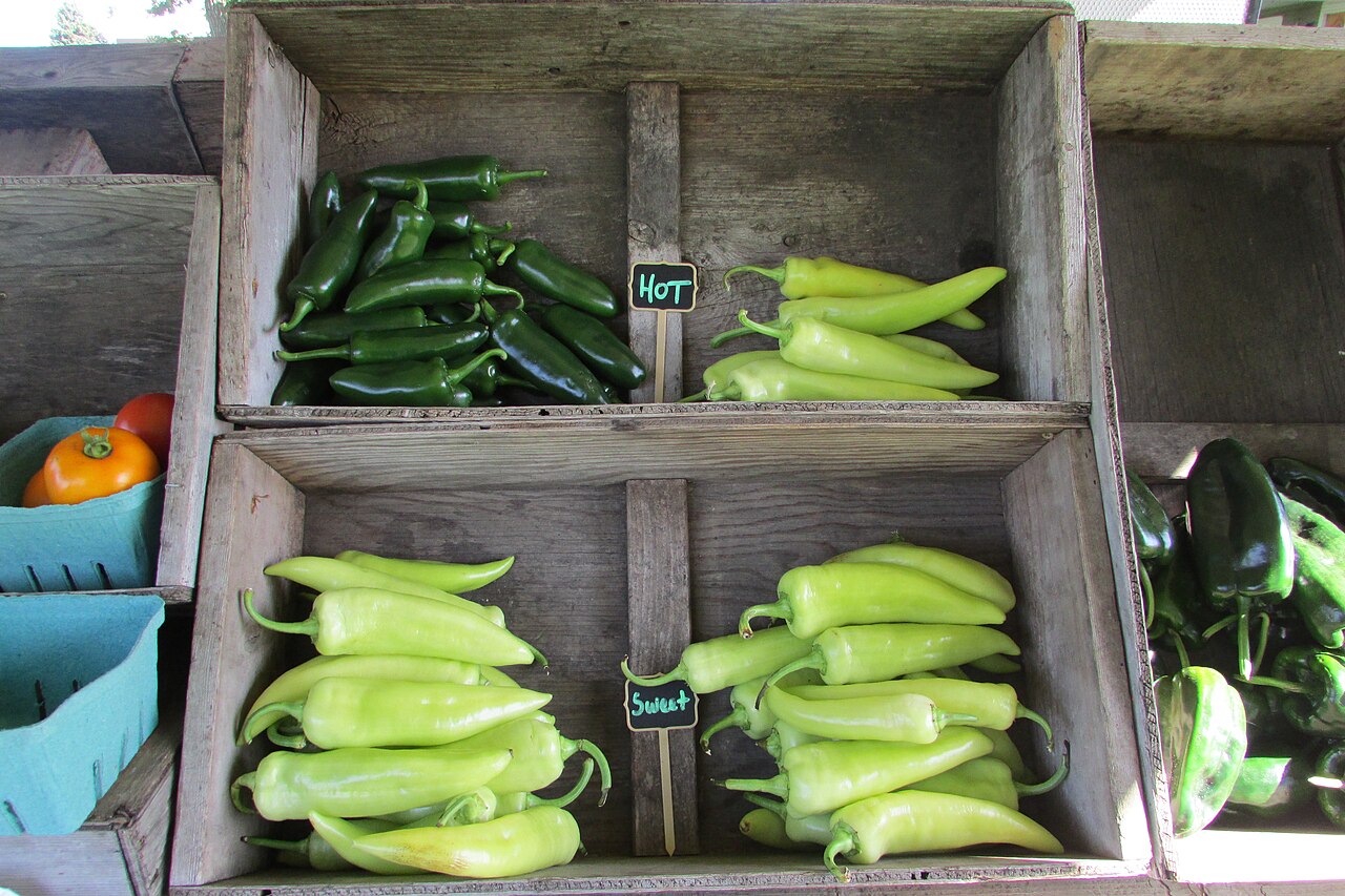 Fresh Poblano Peppers (Green Ancho)