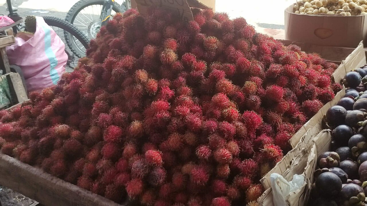 Fresh Rambutan (Crimson Spiny)