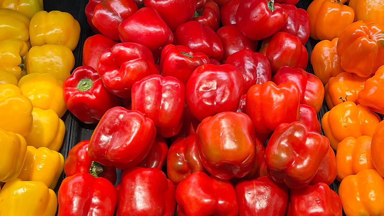 Fresh Red Bell Pepper / Capsicum (Greenhouse)
