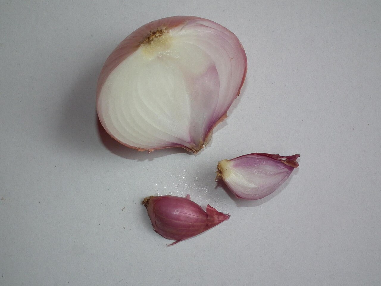 Fresh White Onion (Mahuva 45mm-60mm)