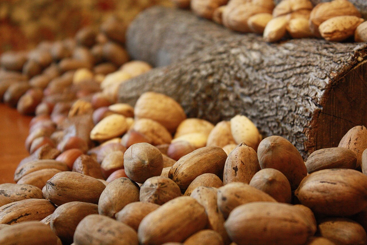 Gurbandi Almonds (Choti Giri High Oil Content)