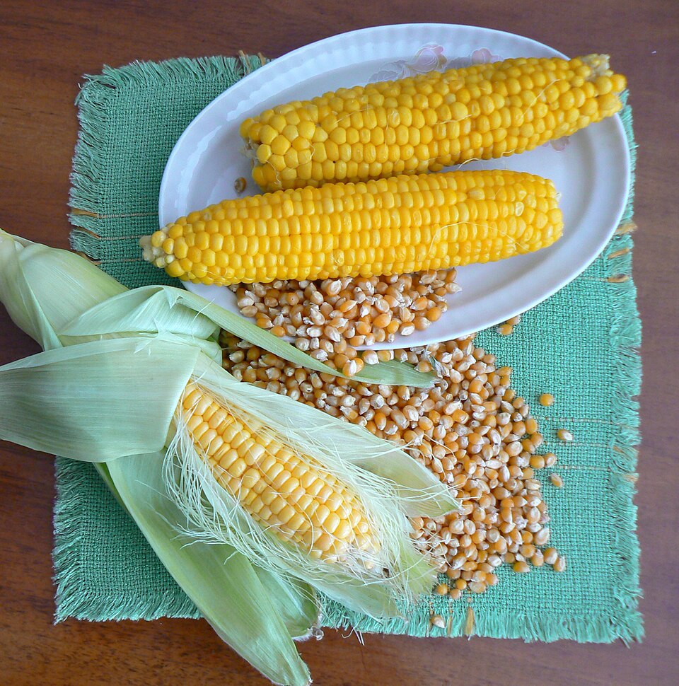 IQF Sweet Corn Kernels (Super Sweet Cut)