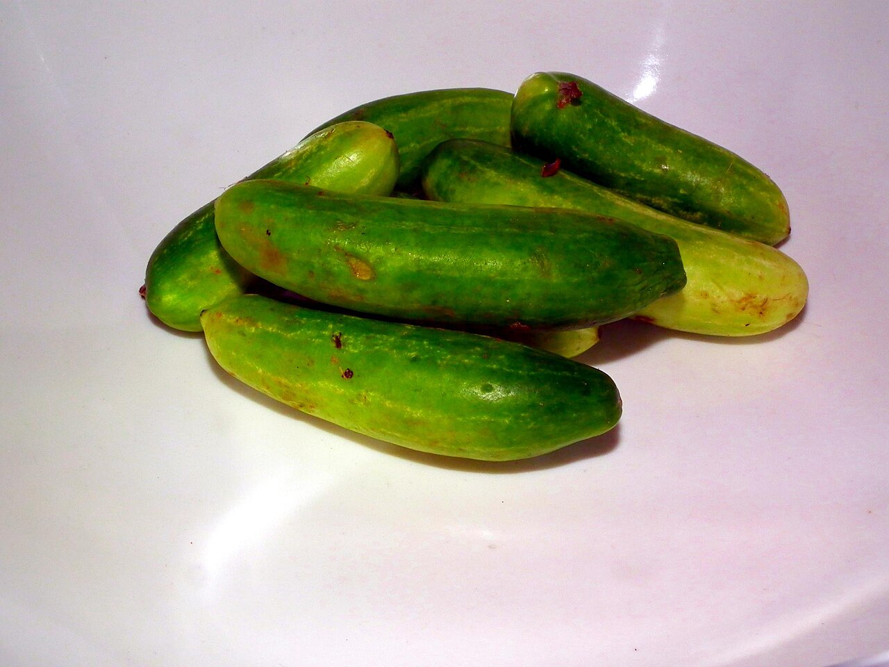 Ivy Gourd / Kundru / Tindora (Small Smooth)