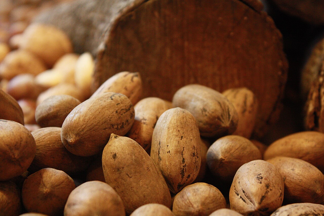Kashmiri Mamra Almonds (Grade A Small High Oil)