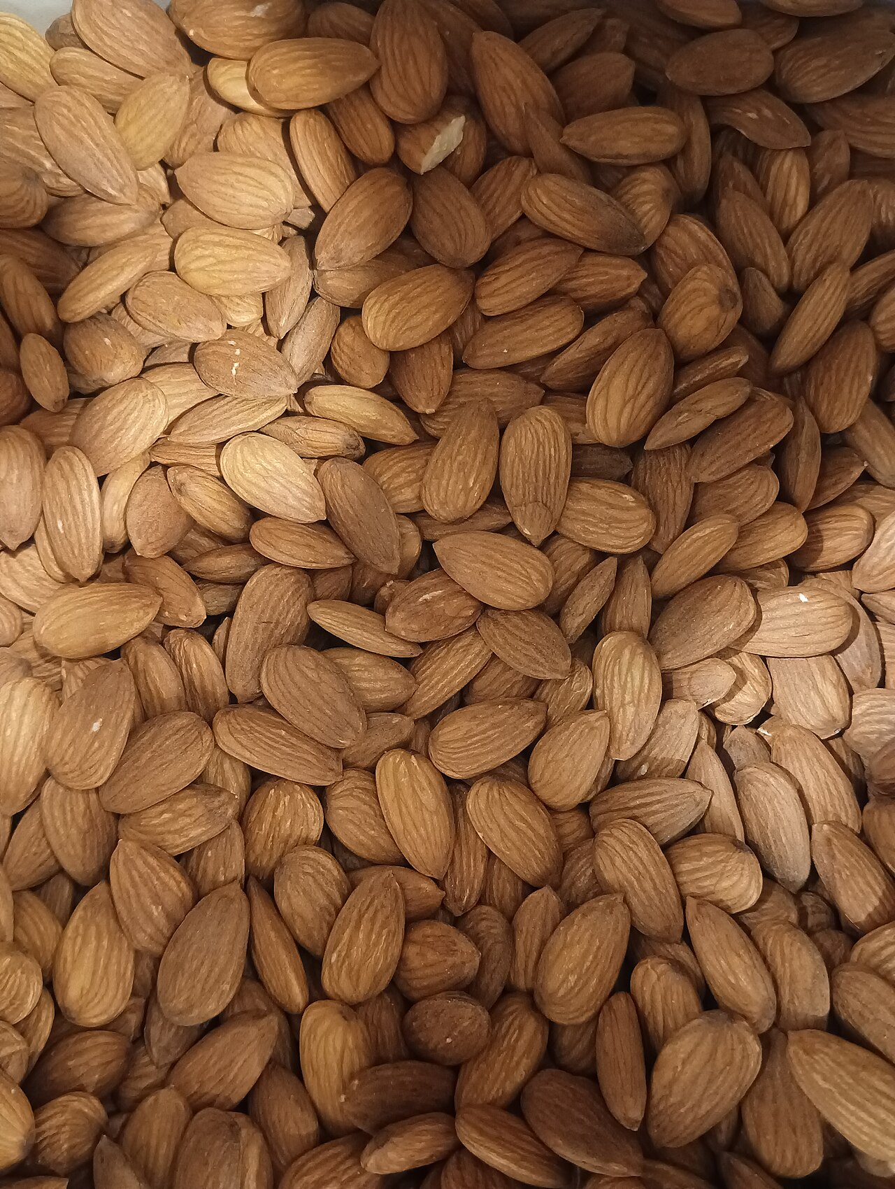 Kashmiri Mamra Almonds (Grade AAA Royal Jumbo)
