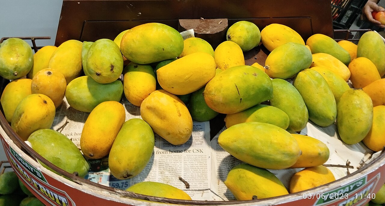 Kesar Mango (Kutch Premium)