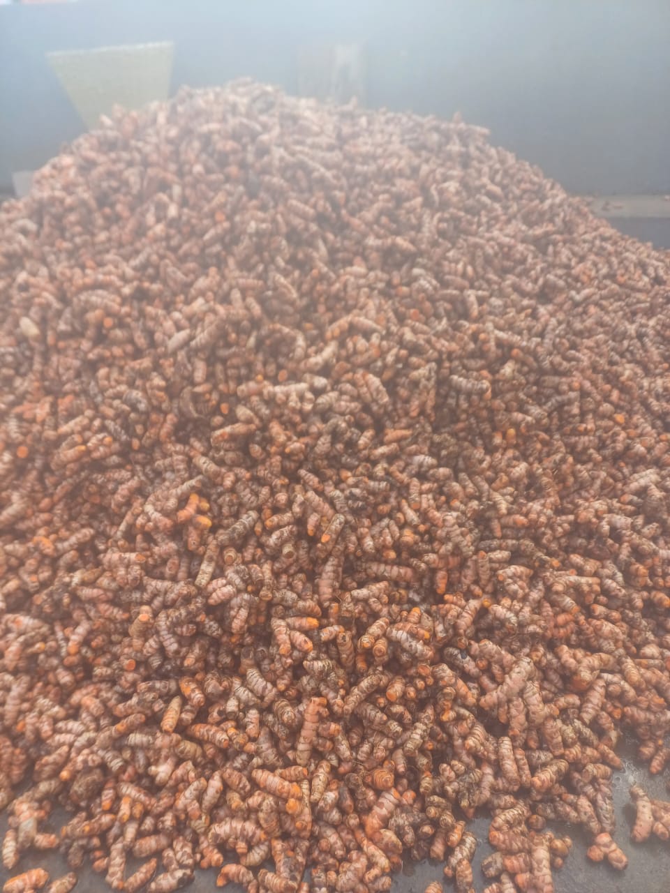 Lakadong Turmeric Fingers (GI Tagged 7.5%-9%)