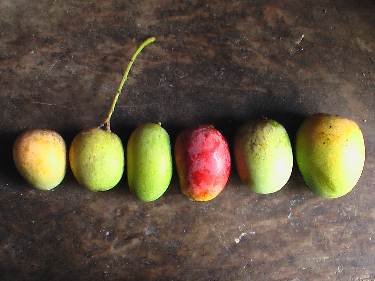 Langra Mango (Banarasi)