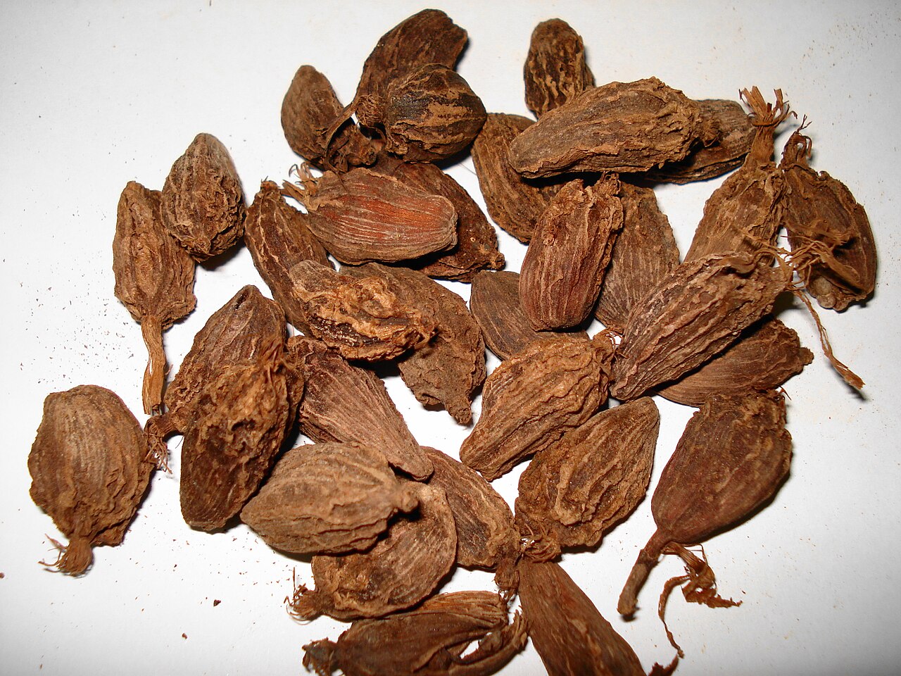 Large Black Cardamom (Badi Elaichi - Sikkim GI)