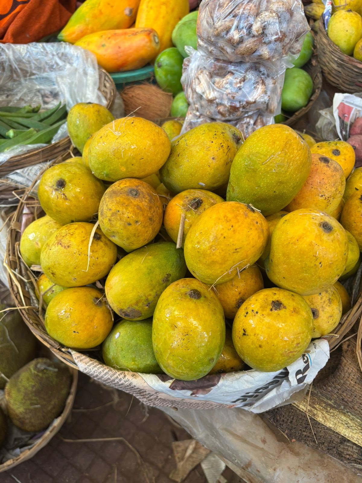 Mankurad Mango (Goa GI Tagged)