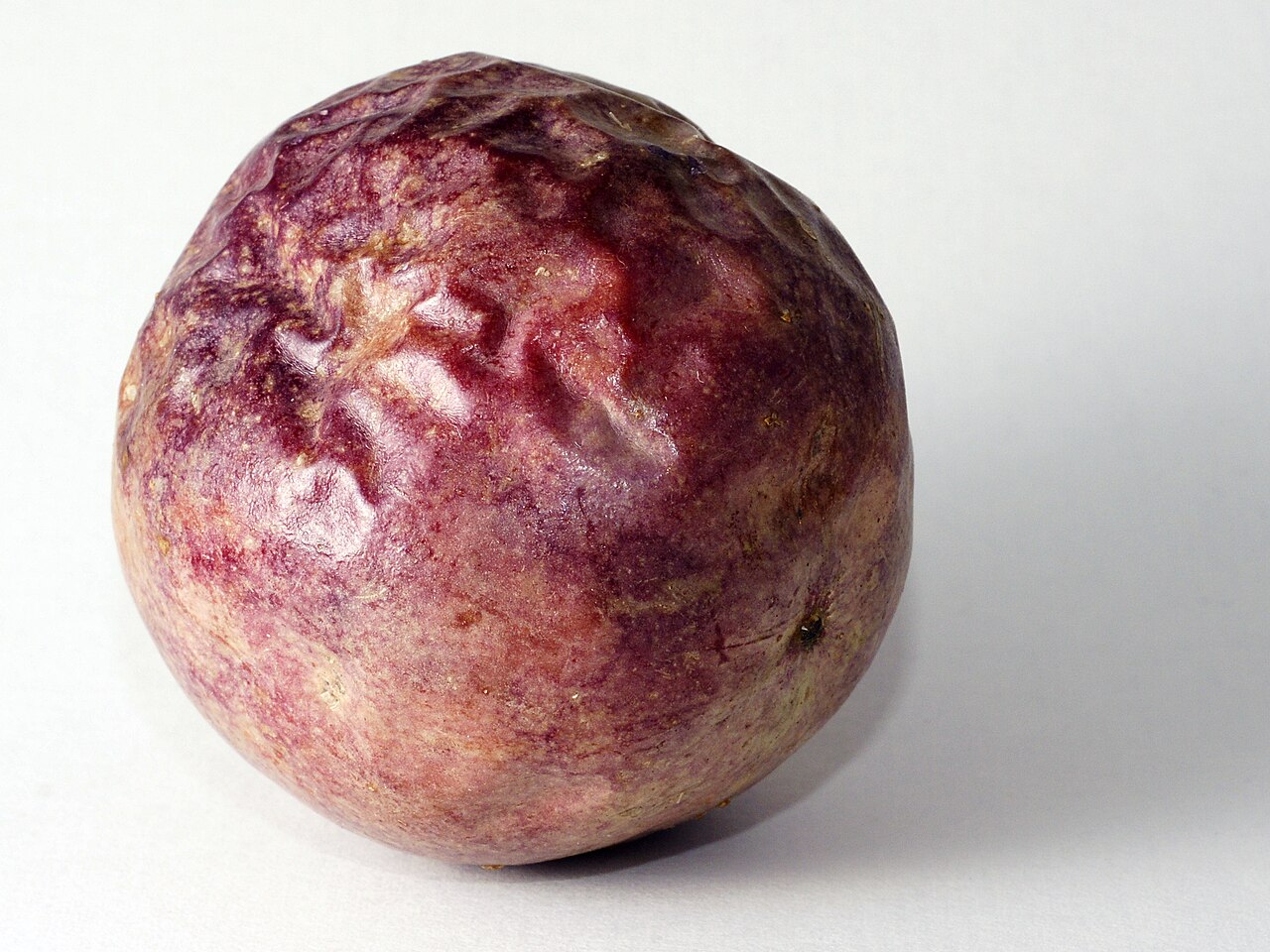 Passion Fruit (Yellow Giant)