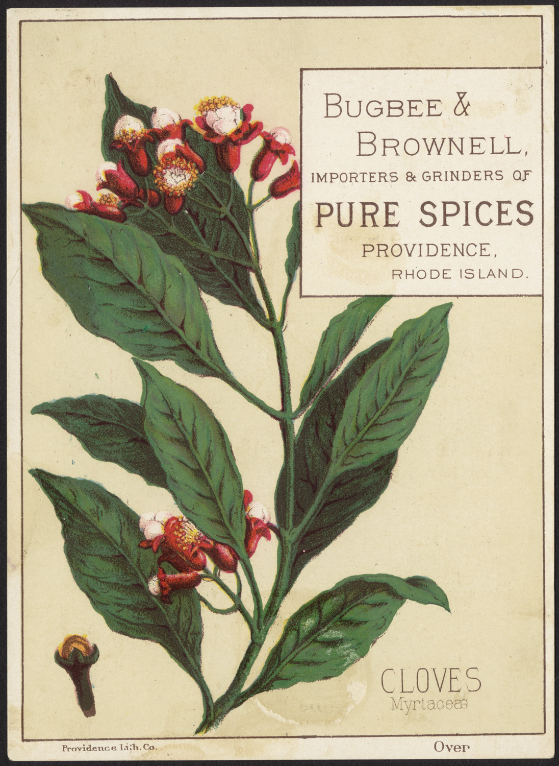 Pure Clove Powder (Ground Syzygium aromaticum)