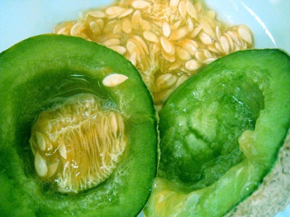Pusa Sharbati Muskmelon
