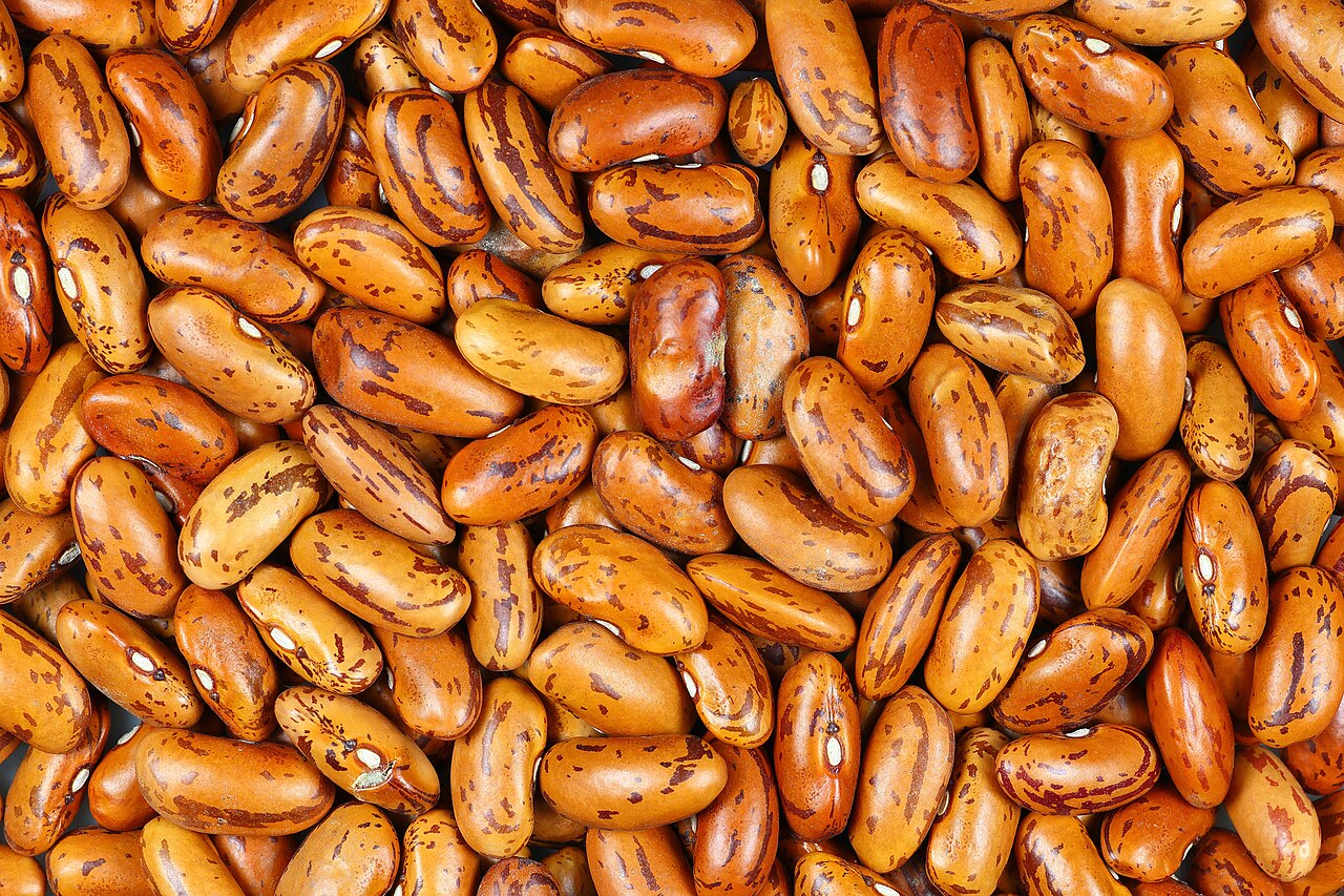 Rajma Chitra / Speckled Kidney Beans (Himalayan)