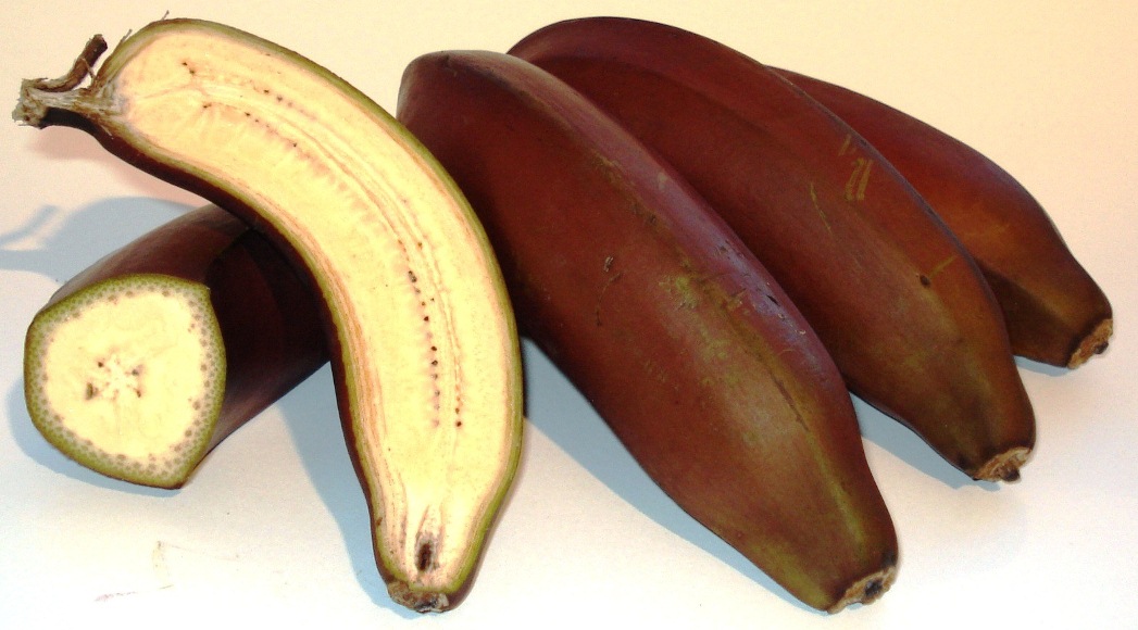 Red Dacca Bananas (Lal Kela)