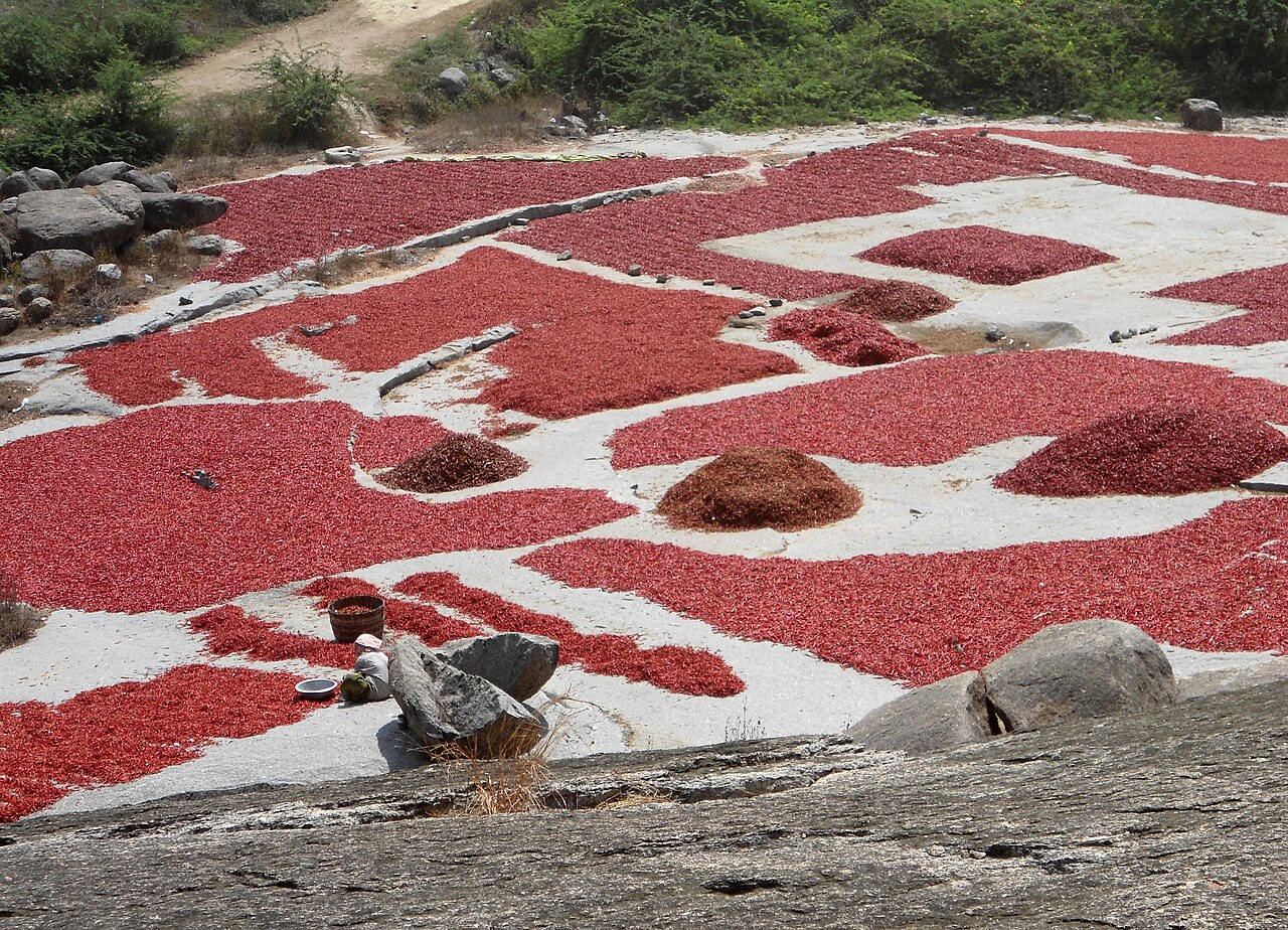 Reshampatti Red Chilli Powder (Gujarat Special)
