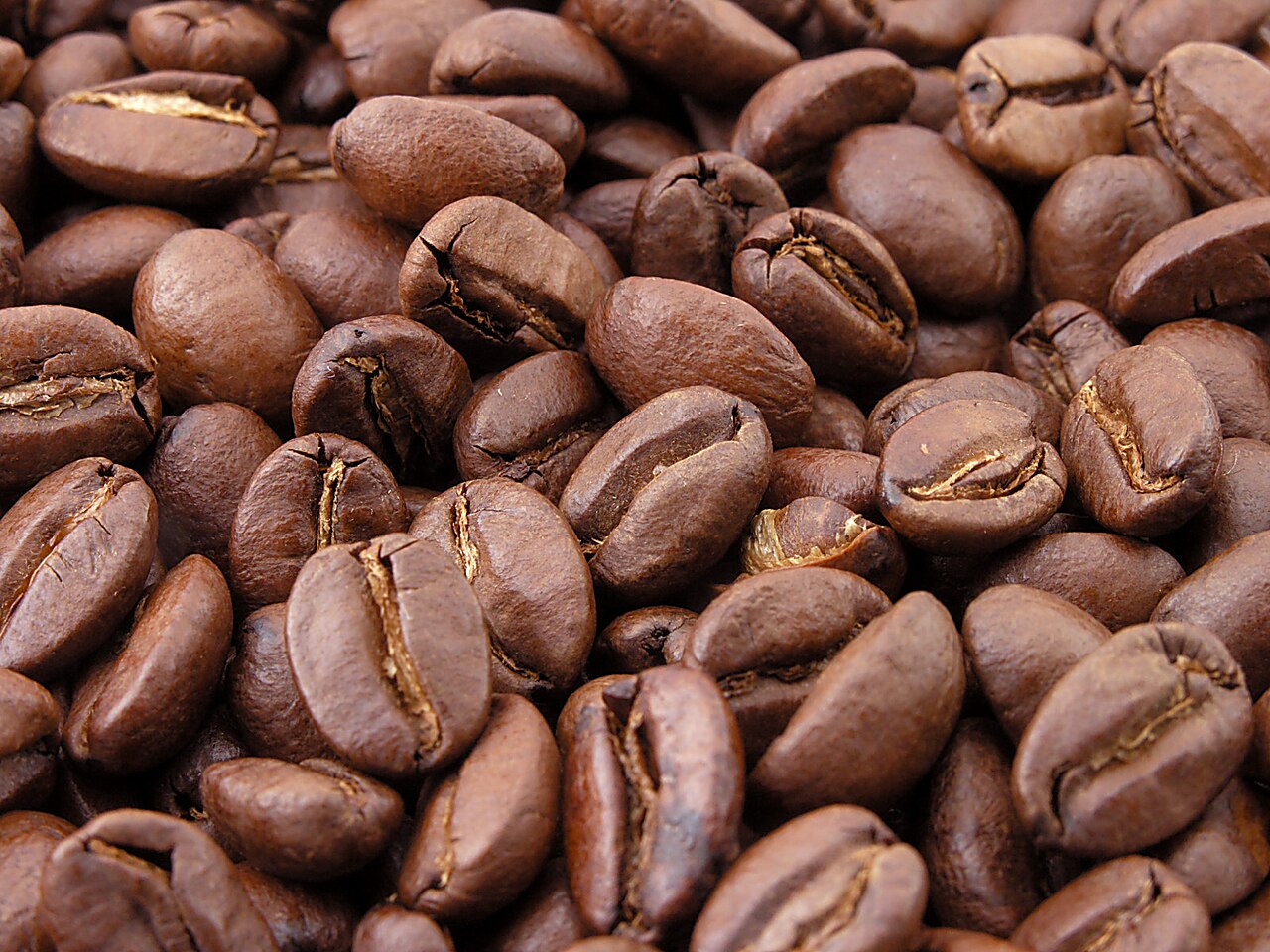 Roasted Arabica Whole Coffee Beans (Medium French Roast)