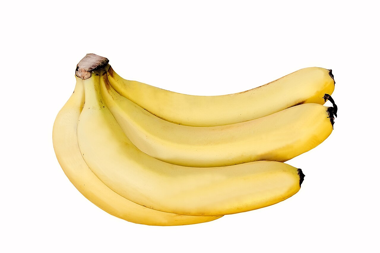 Robusta Bananas (Green Cavendish Relative)