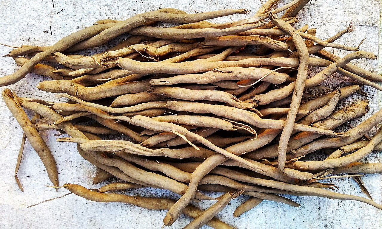 Safed Musli Root Powder (100% Pure 100 Mesh)