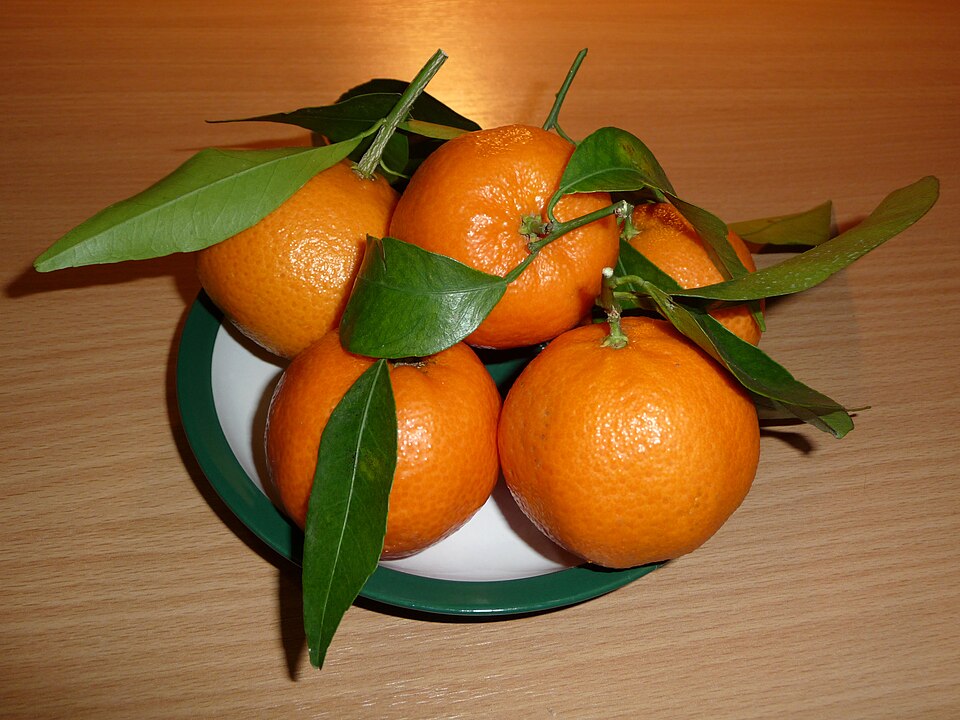 Satgudi Sweet Orange