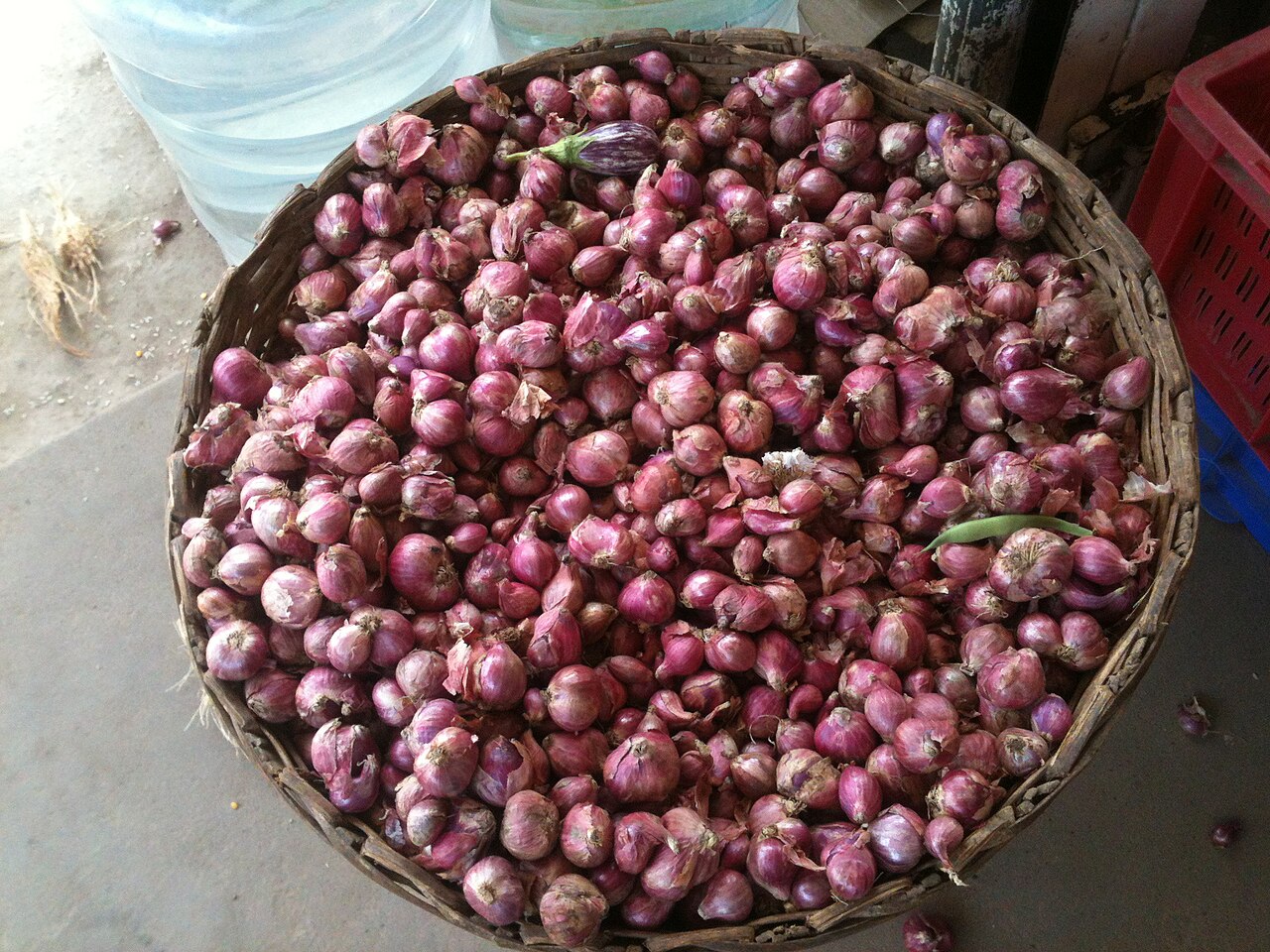 Shallots / Small Sambar Onions (Trichy)