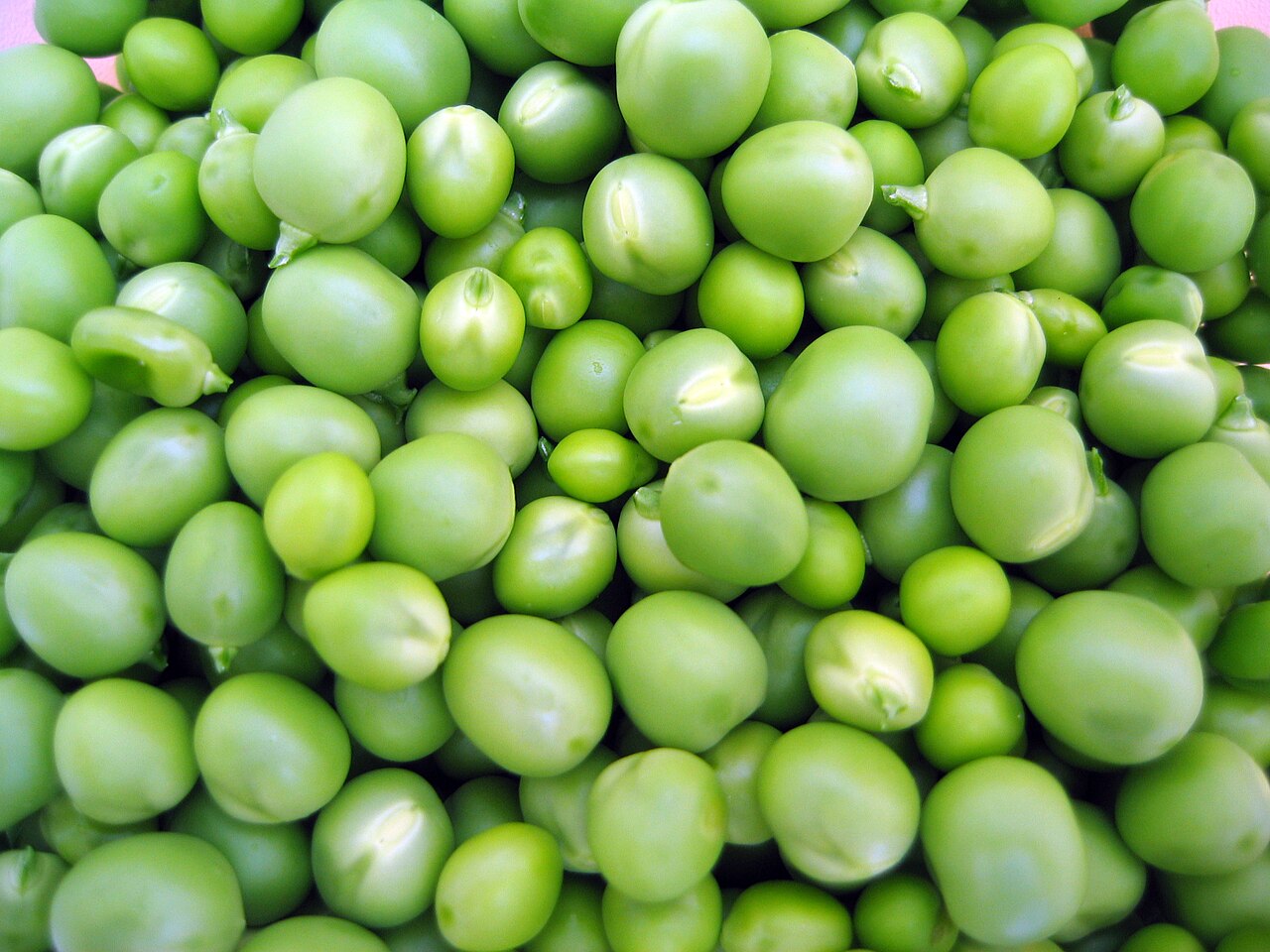 Shelled Fresh Green Peas (Chilled MAP)