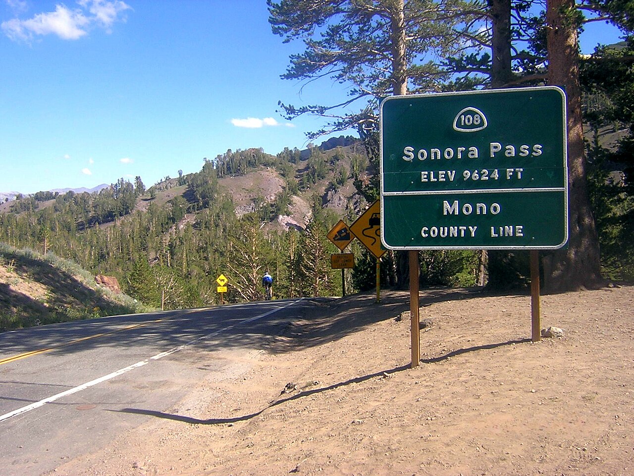 Sonora Type Whole Almonds (Light Thin)